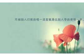 旺苍资产调查